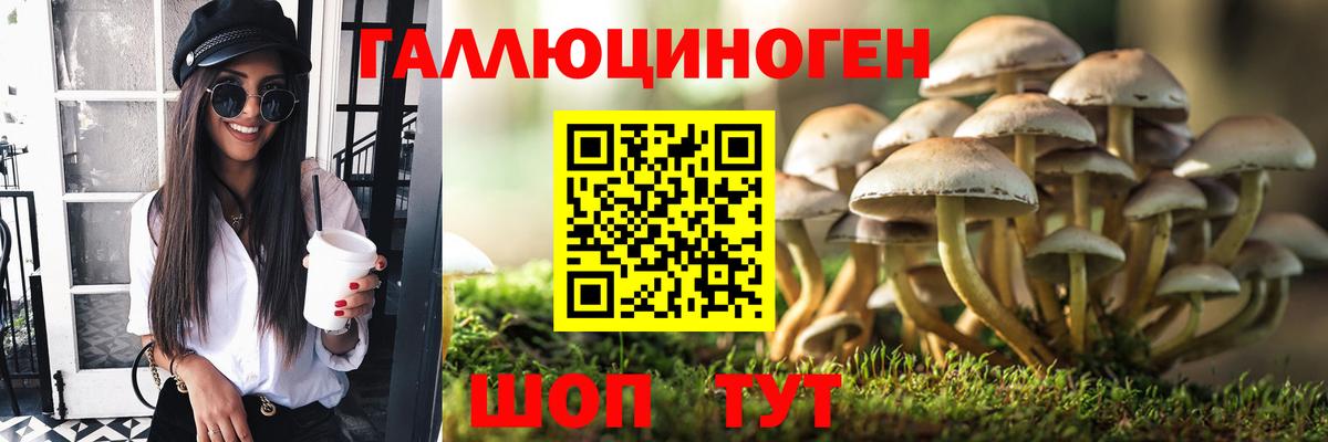 Псилоцибиновые грибы Magic Shrooms  наркота  Ярцево  Вход с VPN 